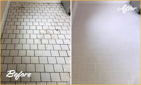 Our Tile and Grout Cleaners in Lakeview, IL, Brought This Dirty Bathroom  Back to Life