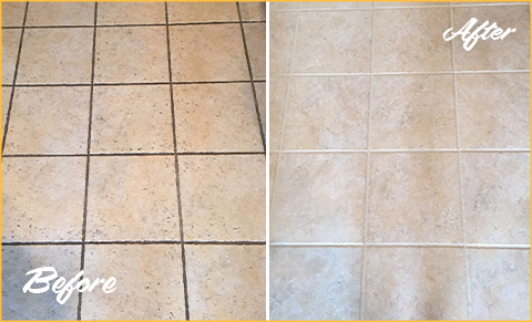 Our Tile and Grout Cleaners in Lakeview, IL, Brought This Dirty Bathroom  Back to Life