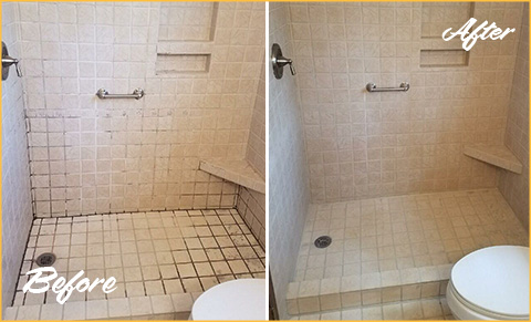 https://www.sirgroutphoenix.com/images/p/g/6/grout-cleaning-moldy-shower-480.jpg